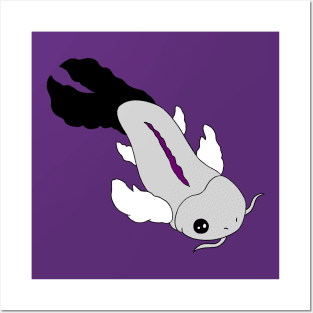 Pride Koi- Demisexual Posters and Art